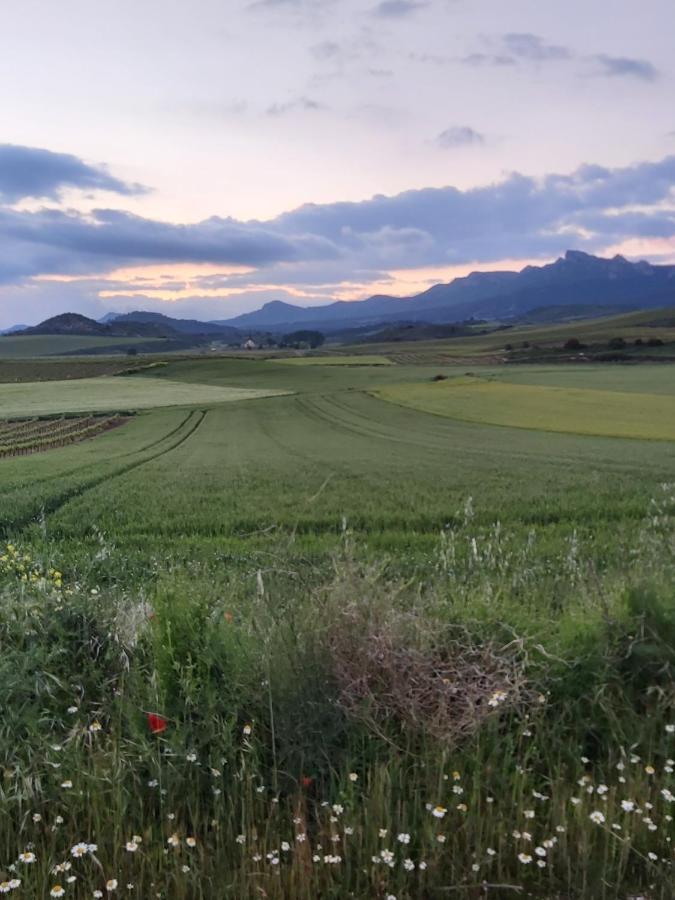 Durmiendo Como Reyes En La Rioja Cihuri Ngoại thất bức ảnh